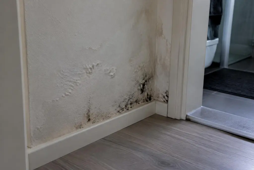 Lekdetectie Tiel – vochtplek met schimmel op een muur